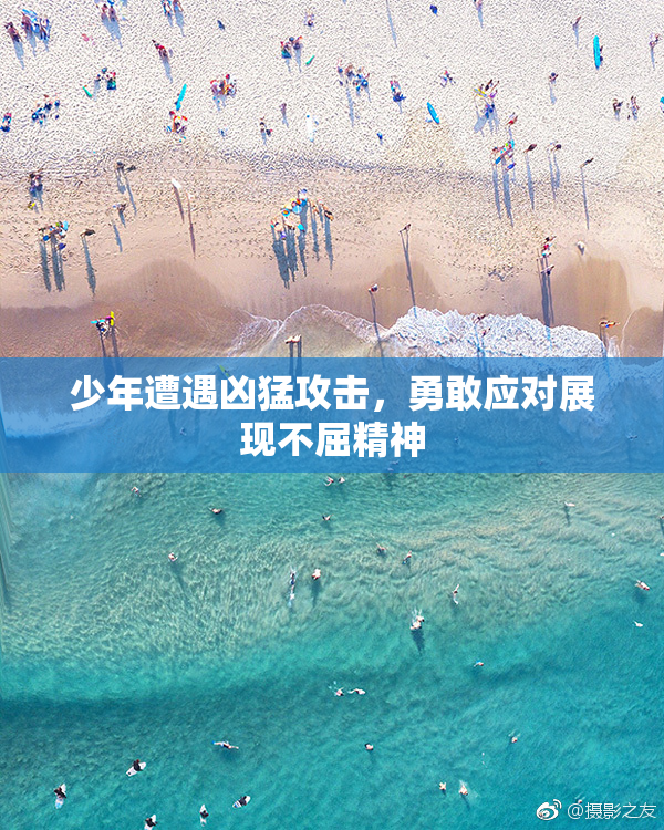 少年遭遇凶猛攻击，勇敢应对展现不屈精神
