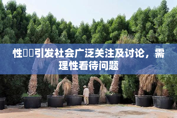 性亂倫引发社会广泛关注及讨论，需理性看待问题