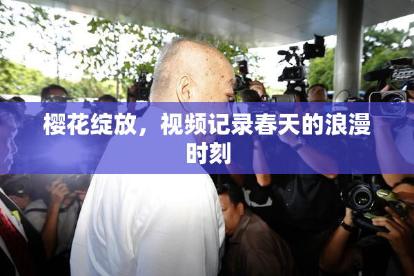 樱花绽放，视频记录春天的浪漫时刻