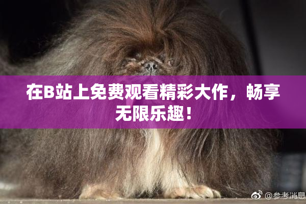 在B站上免费观看精彩大作，畅享无限乐趣！