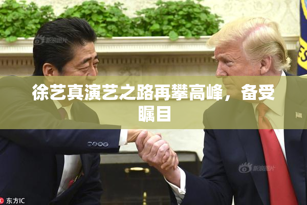 徐艺真演艺之路再攀高峰，备受瞩目