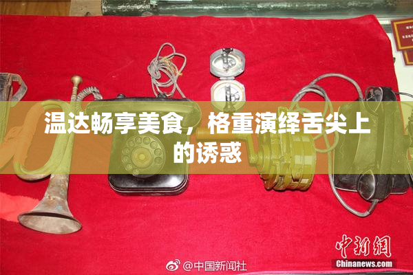 温达畅享美食，格重演绎舌尖上的诱惑