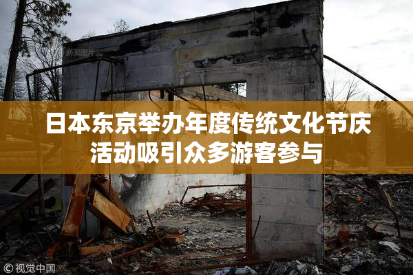 日本东京举办年度传统文化节庆活动吸引众多游客参与