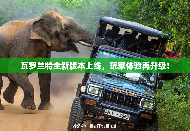 瓦罗兰特全新版本上线，玩家体验再升级！