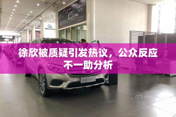 徐欣被质疑引发热议，公众反应不一助分析