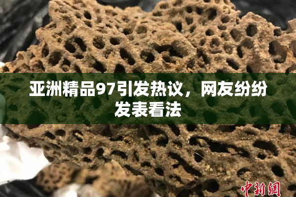 亚洲精品97引发热议，网友纷纷发表看法