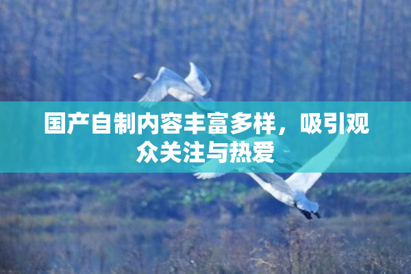 国产自制内容丰富多样，吸引观众关注与热爱