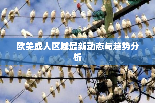欧美成人区域最新动态与趋势分析