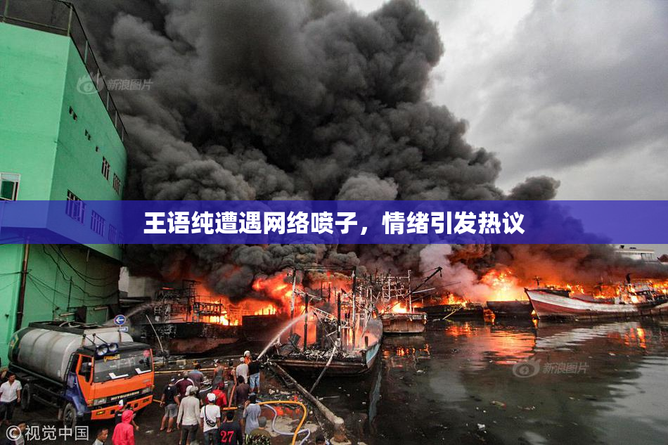 王语纯遭遇网络喷子，情绪引发热议