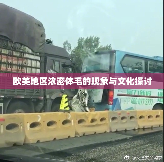 欧美地区浓密体毛的现象与文化探讨