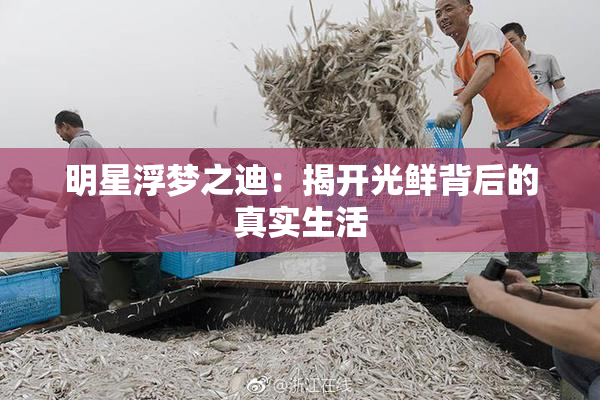 明星浮梦之迪：揭开光鲜背后的真实生活