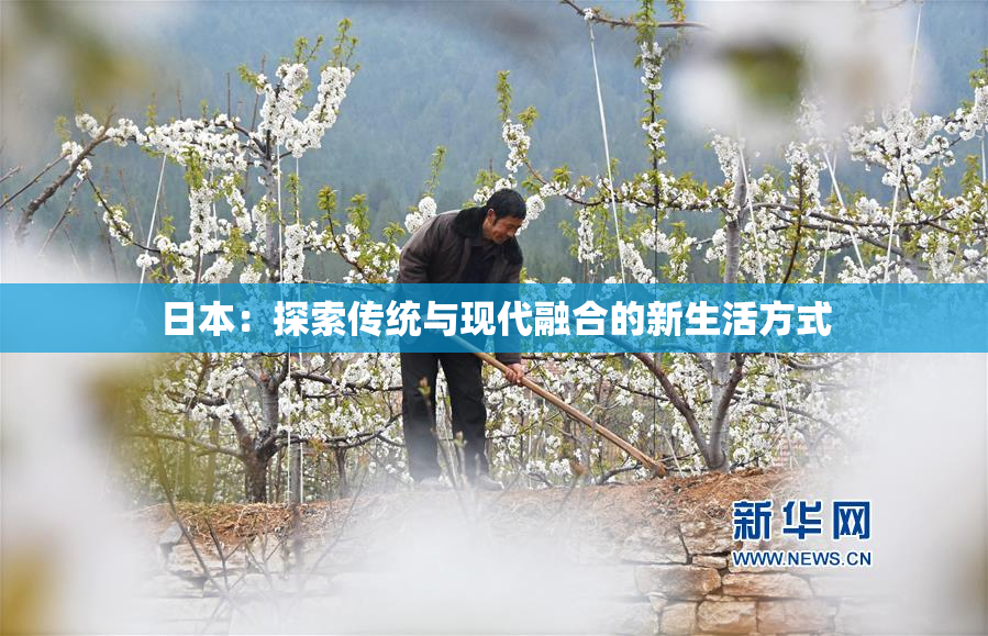日本：探索传统与现代融合的新生活方式