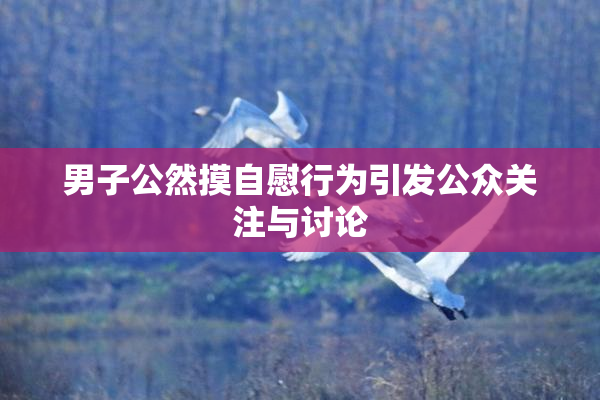 男子公然摸自慰行为引发公众关注与讨论