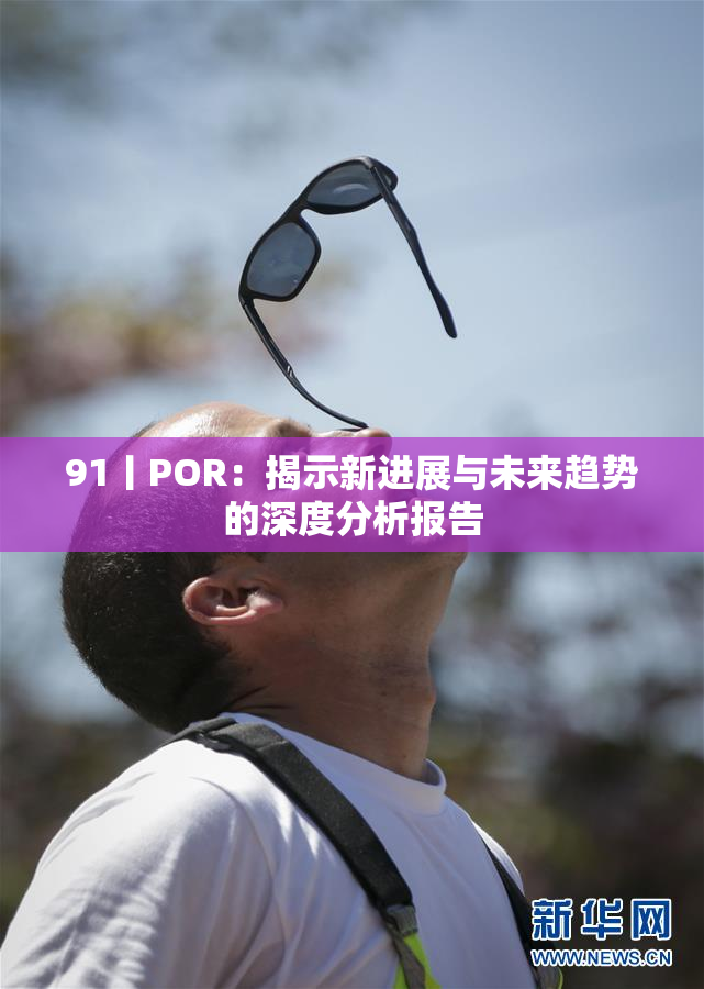 91丨POR：揭示新进展与未来趋势的深度分析报告