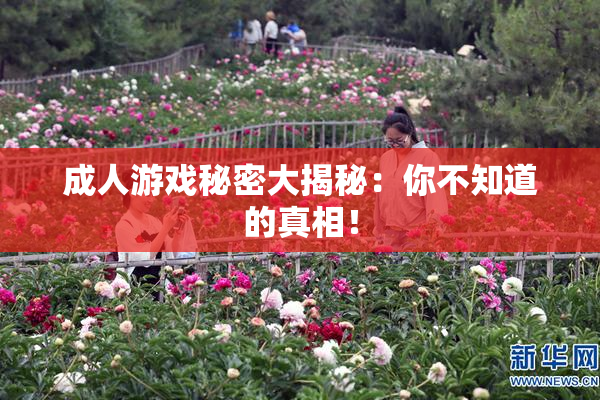 成人游戏秘密大揭秘：你不知道的真相！