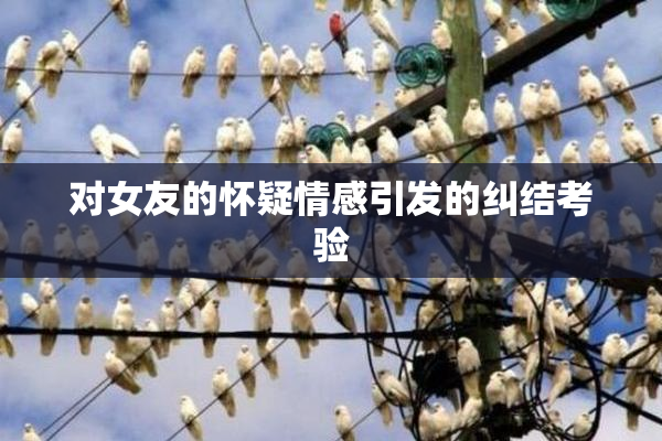 对女友的怀疑情感引发的纠结考验