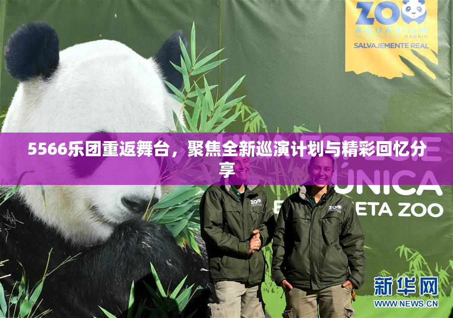 5566乐团重返舞台，聚焦全新巡演计划与精彩回忆分享