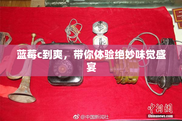 蓝莓c到爽，带你体验绝妙味觉盛宴