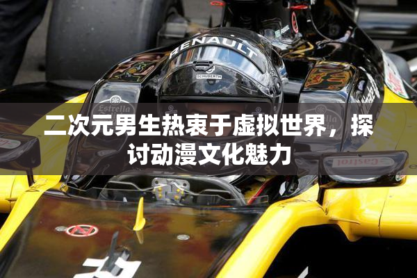 二次元男生热衷于虚拟世界，探讨动漫文化魅力