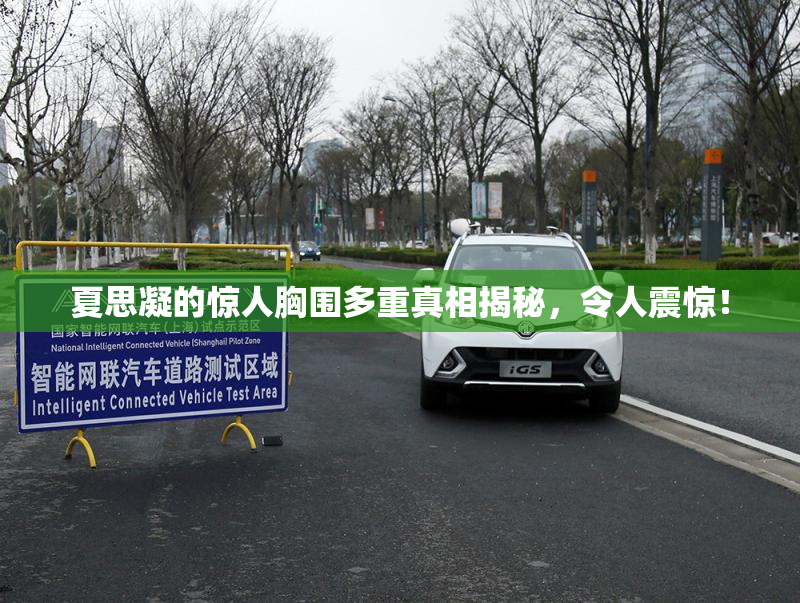 夏思凝的惊人胸围多重真相揭秘，令人震惊！