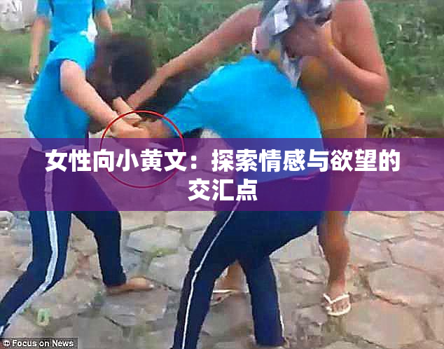 女性向小黄文：探索情感与欲望的交汇点