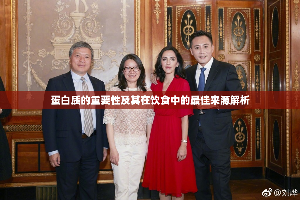 蛋白质的重要性及其在饮食中的最佳来源解析