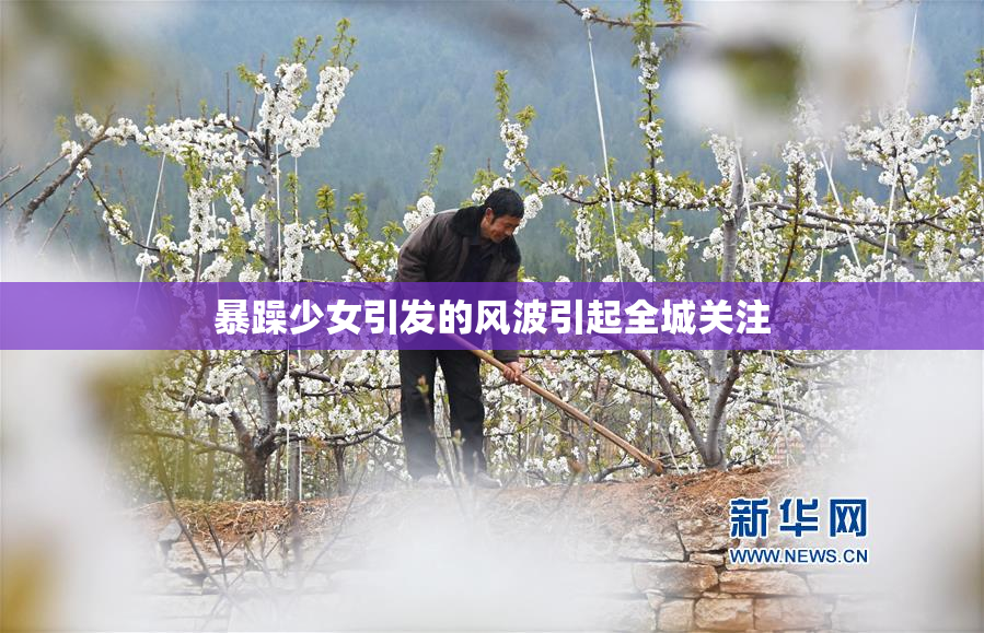 暴躁少女引发的风波引起全城关注