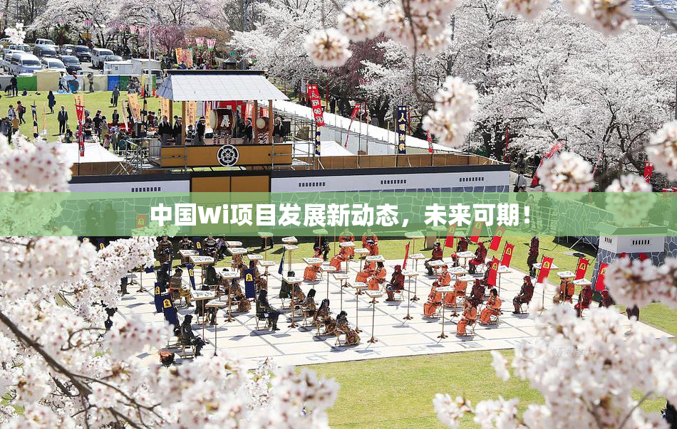 中国Wi项目发展新动态，未来可期！