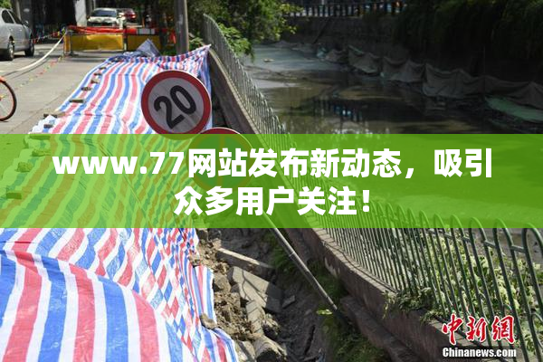 www.77网站发布新动态，吸引众多用户关注！