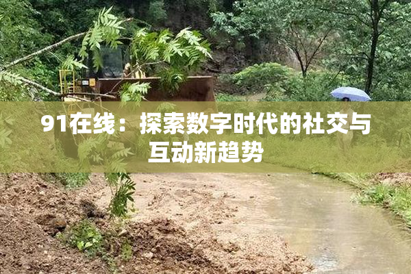91在线：探索数字时代的社交与互动新趋势