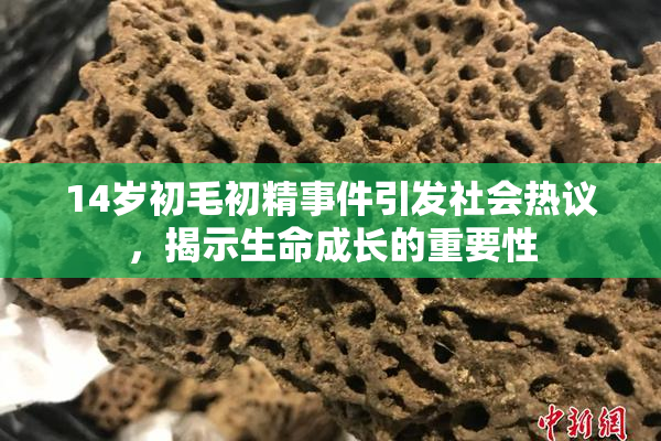 14岁初毛初精事件引发社会热议，揭示生命成长的重要性