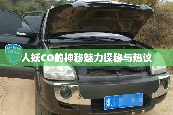 人妖CO的神秘魅力探秘与热议
