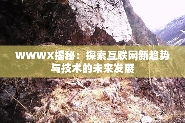WWWX揭秘：探索互联网新趋势与技术的未来发展