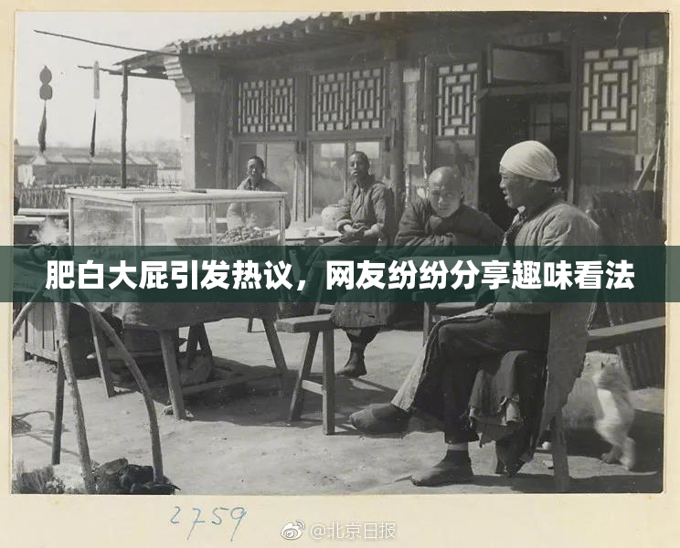 肥白大屁引发热议，网友纷纷分享趣味看法