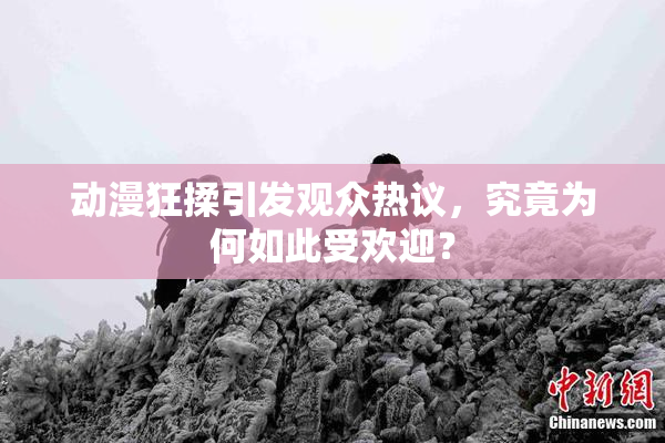 动漫狂揉引发观众热议，究竟为何如此受欢迎？