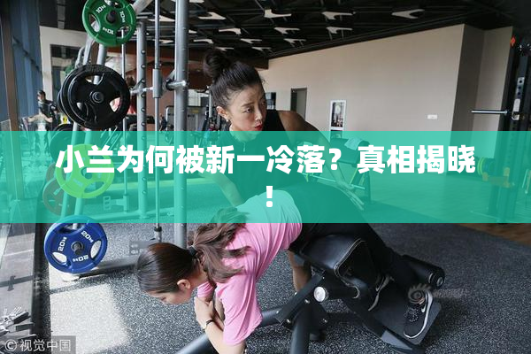 小兰为何被新一冷落？真相揭晓！