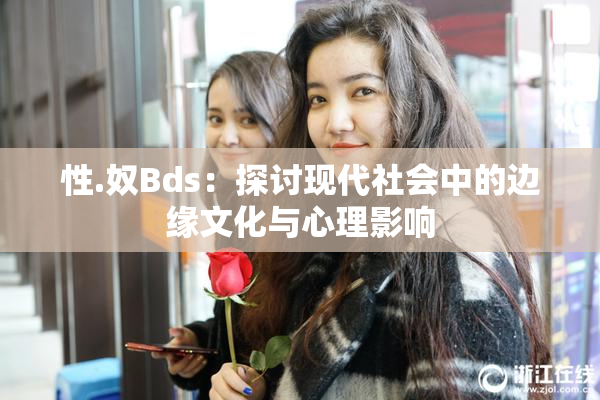 性.奴Bds：探讨现代社会中的边缘文化与心理影响