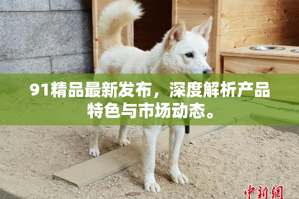 91精品最新发布，深度解析产品特色与市场动态。