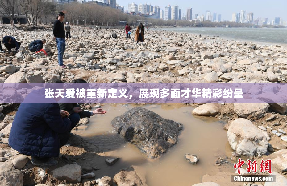 张天爱被重新定义，展现多面才华精彩纷呈