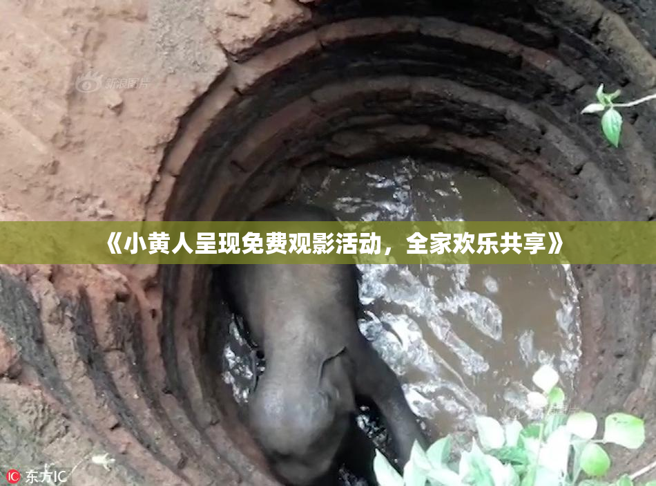 《小黄人呈现免费观影活动，全家欢乐共享》