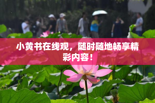 小黄书在线观，随时随地畅享精彩内容！