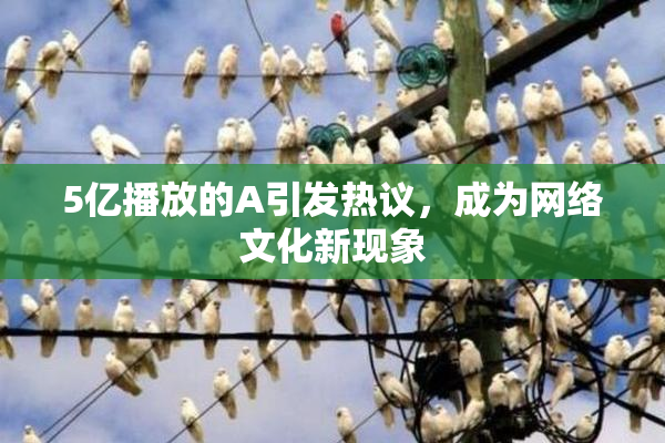 5亿播放的A引发热议，成为网络文化新现象