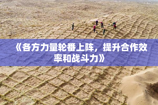 《各方力量轮番上阵，提升合作效率和战斗力》