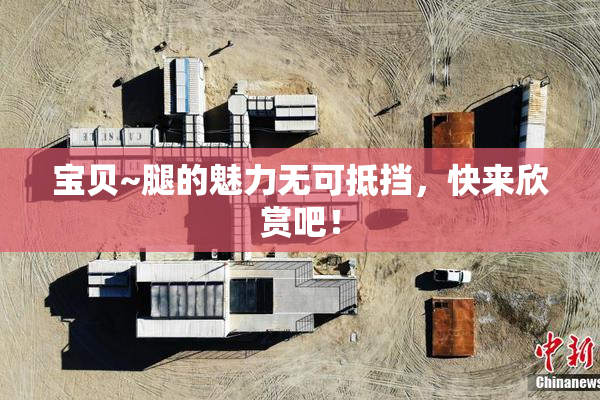 宝贝~腿的魅力无可抵挡，快来欣赏吧！
