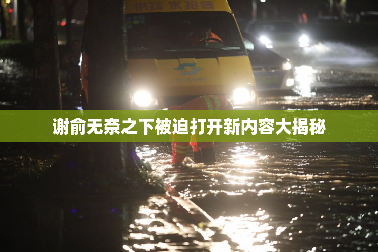 谢俞无奈之下被迫打开新内容大揭秘