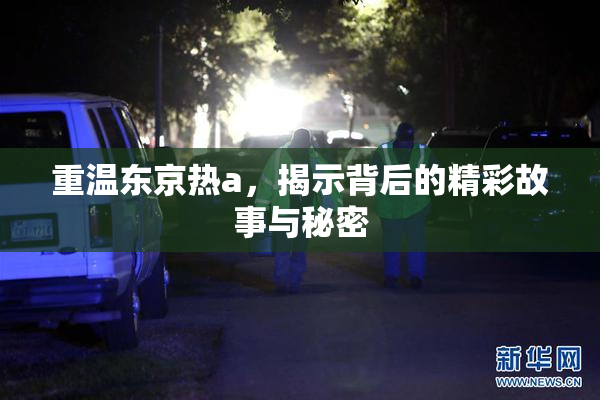 重温东京热a，揭示背后的精彩故事与秘密