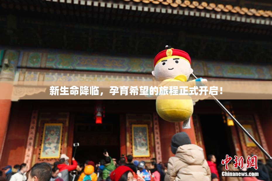 新生命降临，孕育希望的旅程正式开启！