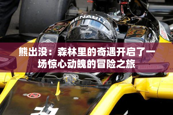 熊出没：森林里的奇遇开启了一场惊心动魄的冒险之旅