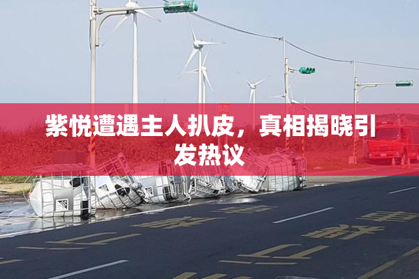 紫悦遭遇主人扒皮，真相揭晓引发热议
