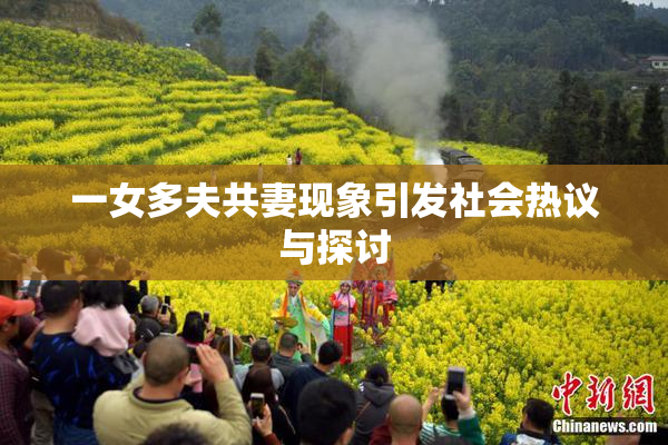 一女多夫共妻现象引发社会热议与探讨